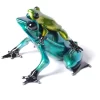 Joy Ride - Image 2