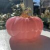 Pink Harvest Pumpkin