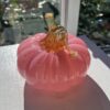 Pink Harvest Pumpkin - Image 2