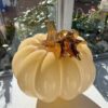 Cinderella Apricot Pumpkin - Image 2