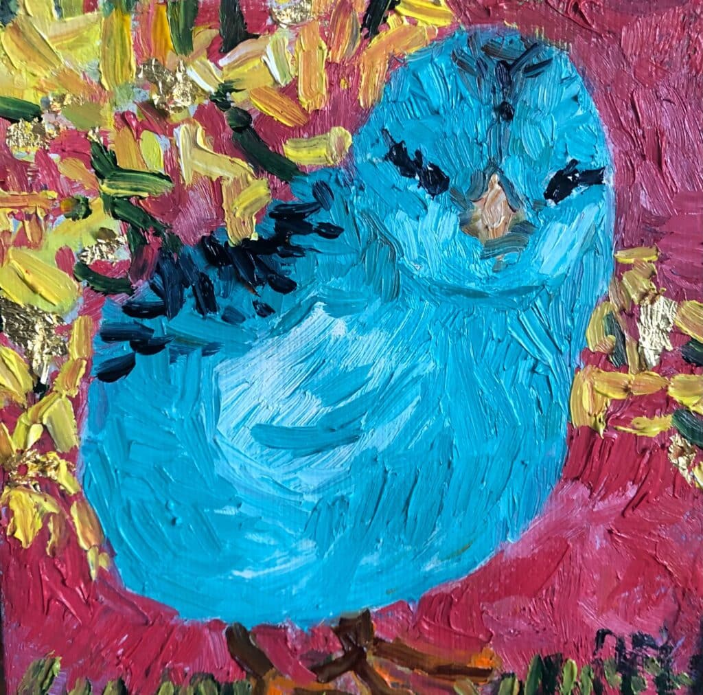 Candi D'May Galleries