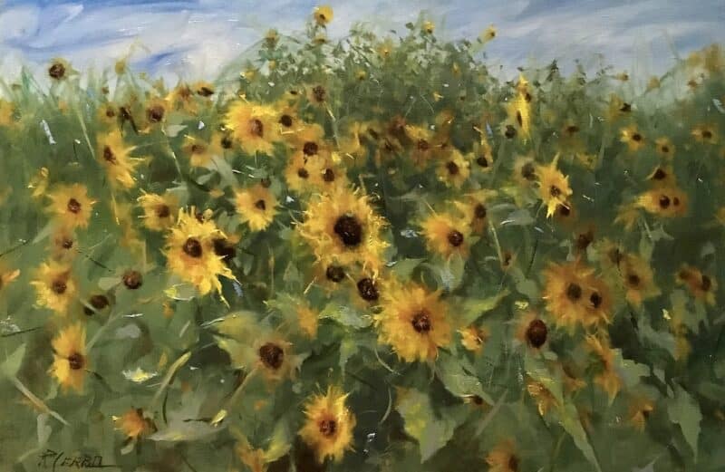 Common Sunflowers