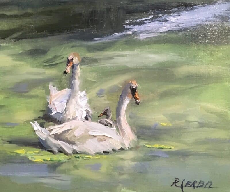 Swan Family