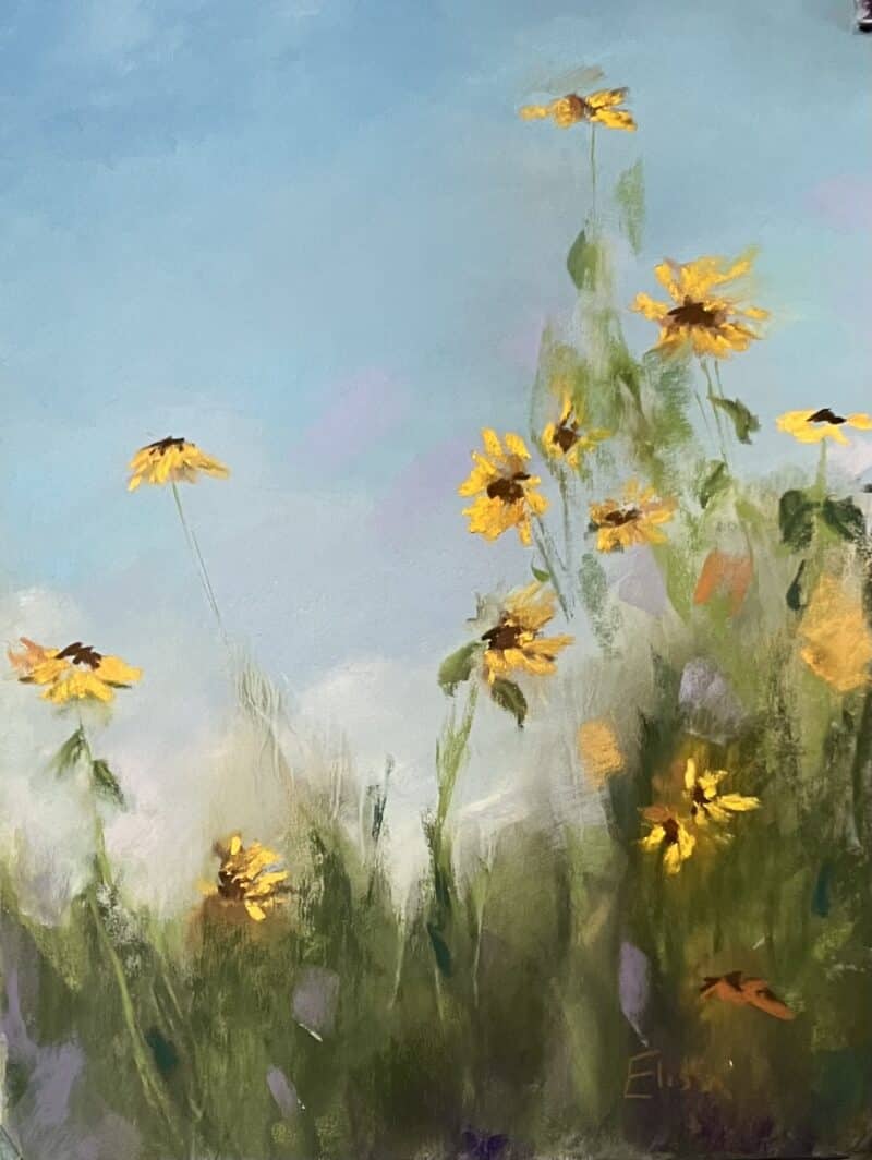 Susan's Daisey
