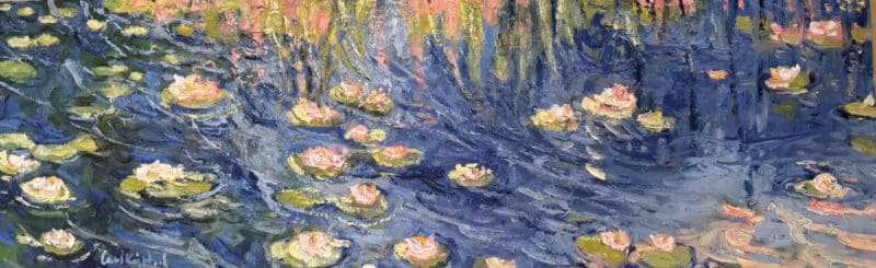 Pink Water Lillies