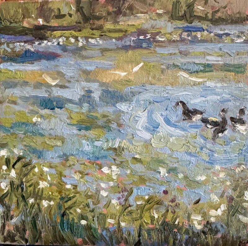 Afternoon on Lily Lake