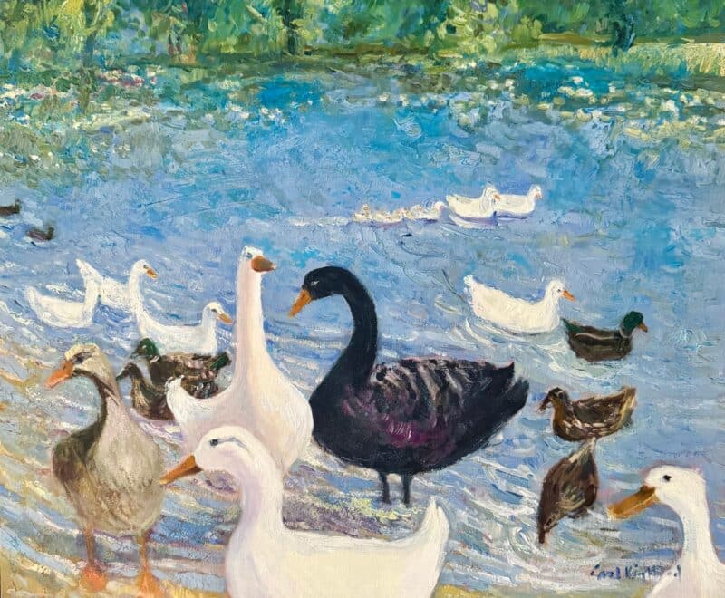 Black Swan Visits