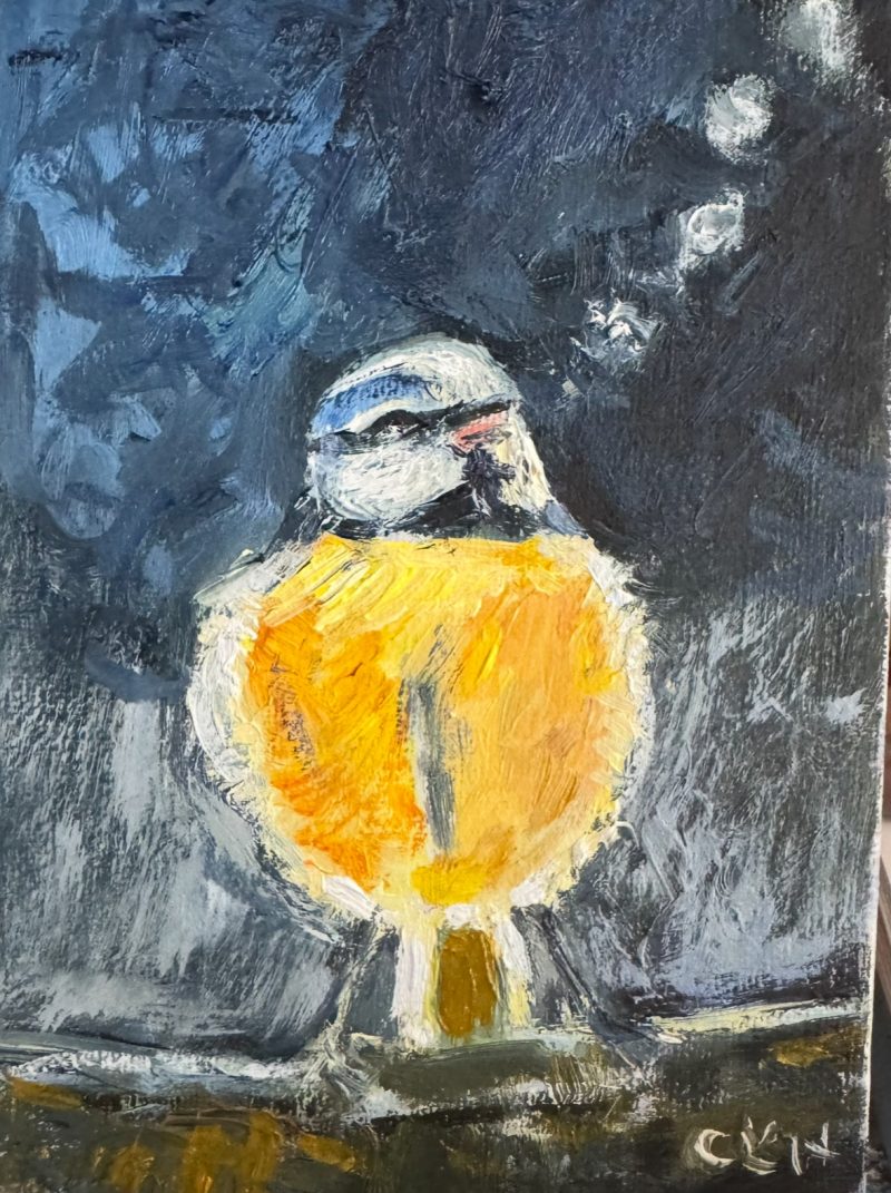 Baby Painted Bunting